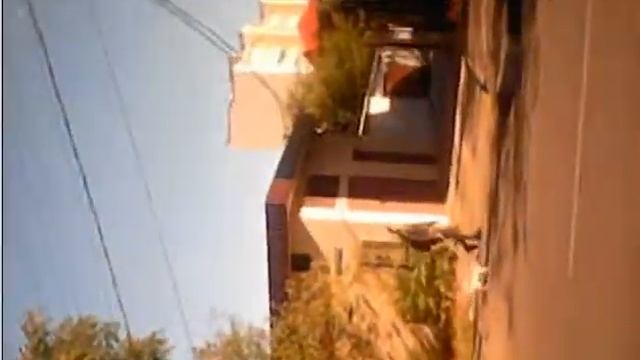 СИМВОЛЬ НОВОРОСИСКА И ФЛАГ - ТЕЛЬКА МИДВЕД-78 КГ-НОГИ 75 СМ ТУЛОВИЩИЕ + ГОЛОВА 78 СМ И САБАКА смотреть онлайн