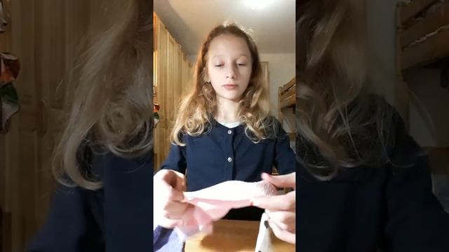 Как сделать домик и лабиринт для хомячка! смотреть онлайн