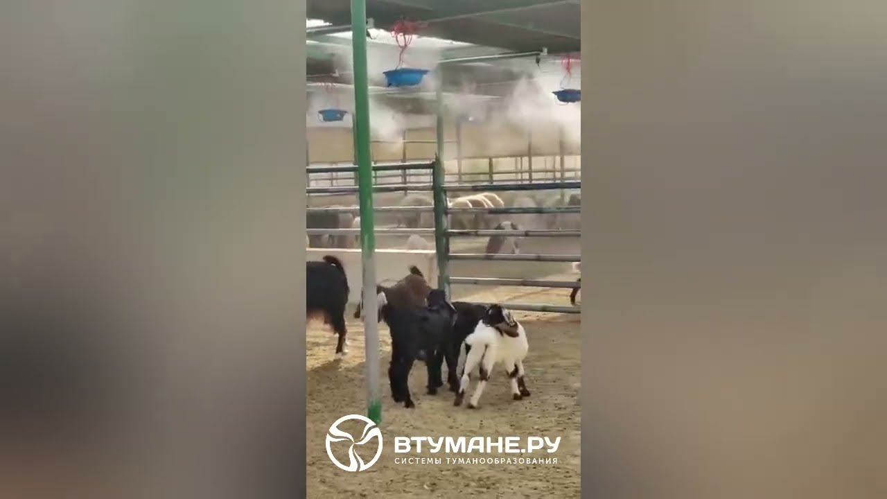 Увлажнитель воздуха атомайзер АГНД-20 смотреть онлайн