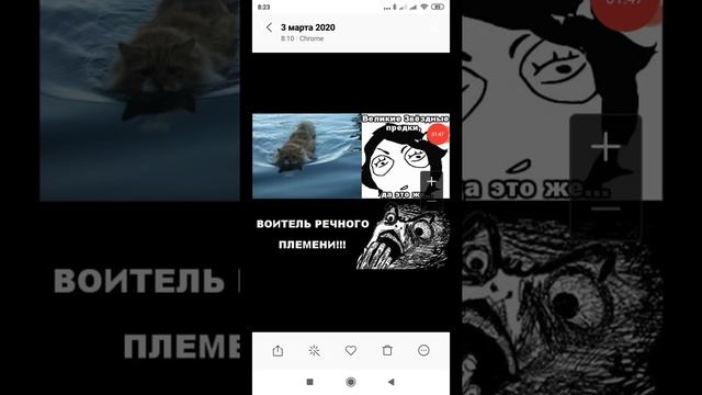 Озвучка мемов Коты Воители смотреть онлайн