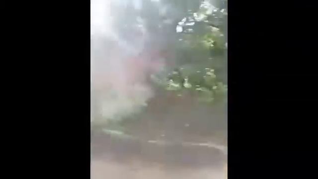 Как провести лето?