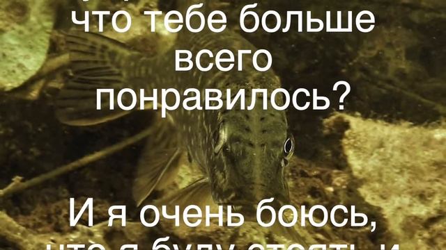 Когда нас позовут на небо..... смотреть онлайн