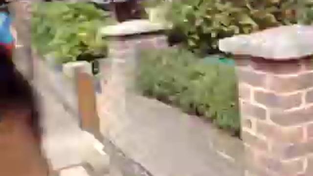 Camino a Abbey Road смотреть онлайн
