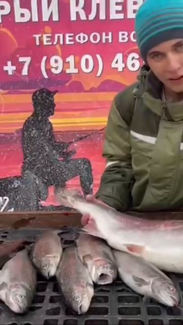 Рыбка клюет полный безлимит , форель ежедневный запуск смотреть онлайн