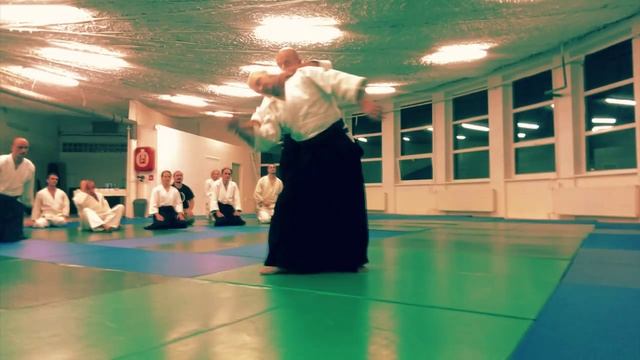 Nebi Vural Sensei (15.-17.11 .2013 seminar) смотреть онлайн