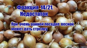 ЛУК-СЕВОК.Что надо знать для получения хорошего урожая.Ч.1.Размер ( фракции) лука-севка.Как выбрать