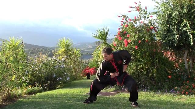Ng Lun Ma de Choy Lee Fut (Primera Parte) смотреть онлайн