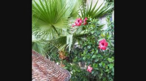 Crystal Hotel Bodrum Turkey