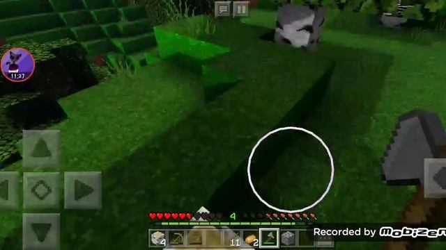 Кошачья жизнь #3