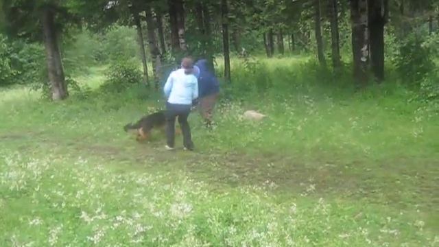 Спарта.AVI смотреть онлайн