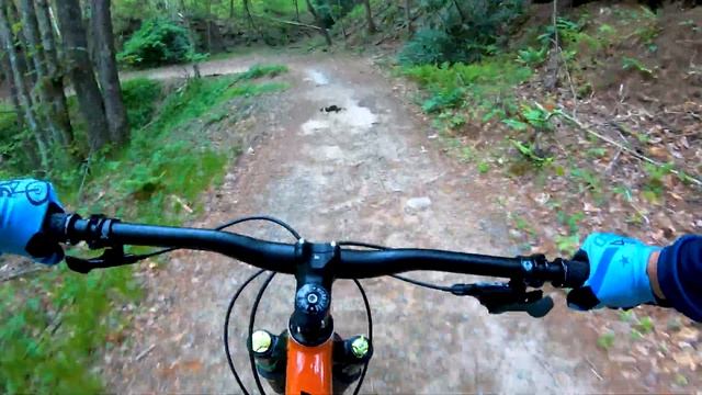 The IBIS RIPMO AF BIKE Review and First Ride in Pisgah National Forest on Turkey Pen Trails смотреть онлайн