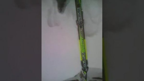 Обзор лыж: Larsen Activ