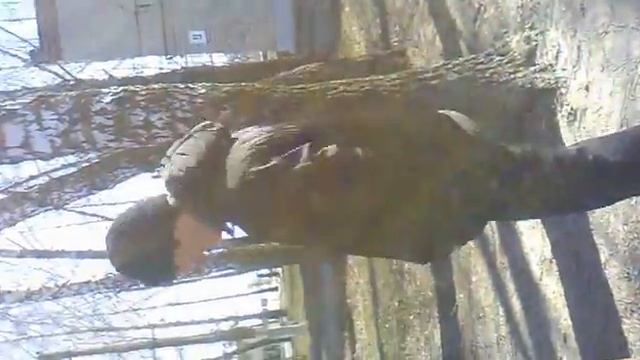 новый борадач.mp4 смотреть онлайн