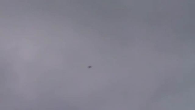 Николаевские голуби , г. Павлоград .Лето. смотреть онлайн
