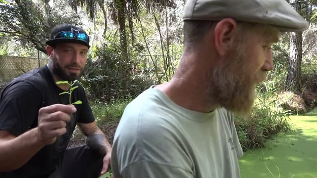 Trapper the giant alligator смотреть онлайн