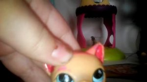 Обзор ззззззззззззз я пошутил