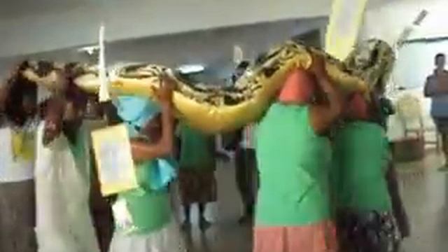 Dança da Jiboia смотреть онлайн