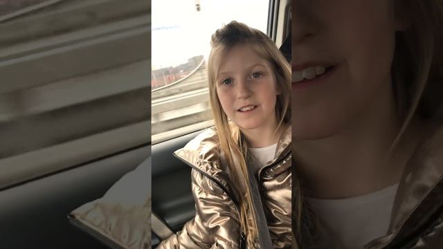 Витрина для шиншилл смотреть онлайн