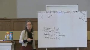 1 БАРБАРА О'НИЛЛ_ ТРАВЫ