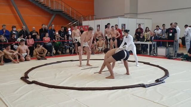 Сумо: Кубок Hinode Power Japan 2019(16) смотреть онлайн