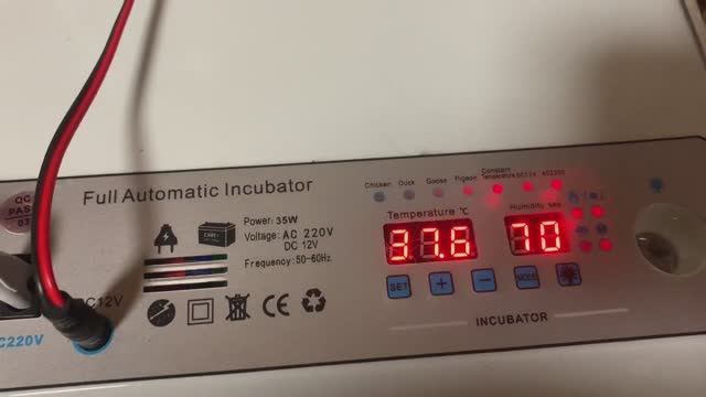 Инкубация продолжается_ собираю яйцо В НОВУЮ КОРЗИНКУ😁👍😍сколько сегодня яиц_ 19 марта 2025 года смотреть онлайн