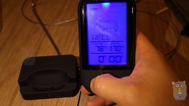 RISEPRO Wireless Food Thermometer ET925-2BK Review смотреть онлайн
