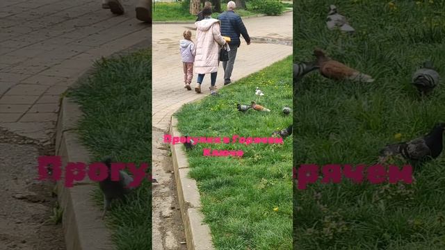 Место для отдыха и музыка для души. смотреть онлайн