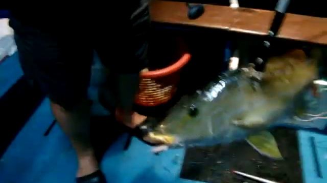 Длинногубый Император ловим в Тайланде смотреть онлайн