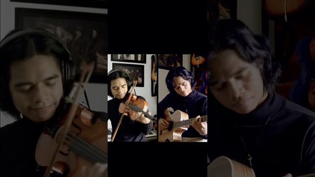 Howl’s moving castle theme song #perfecto #violincover #howlsmovingcastle #howlsmovingcastleviolin смотреть онлайн