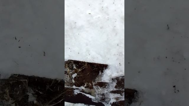 Обновленная лопата отвал на Т25 на заднюю навеску