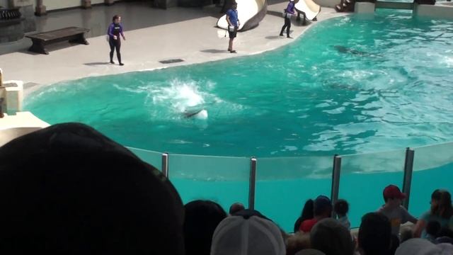 00030 смотреть онлайн