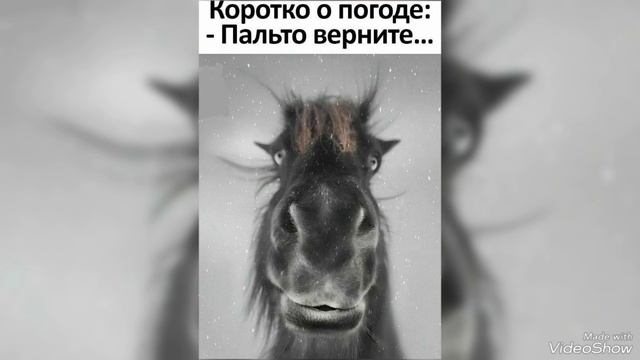 Апрельское Калининградское похолодание 2025 смотреть онлайн