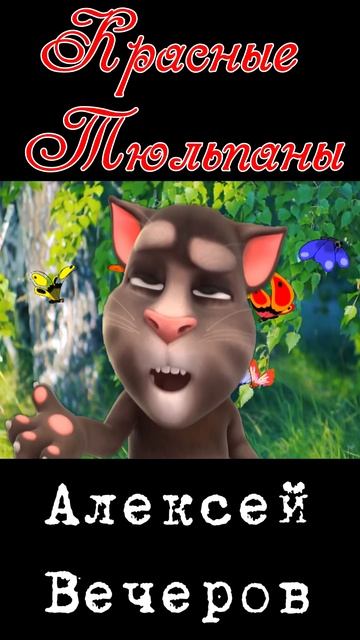 Красные тюльпаны
Музыка, исп: Алексей Вечеров
Стихи: Владимир Курочкин смотреть онлайн