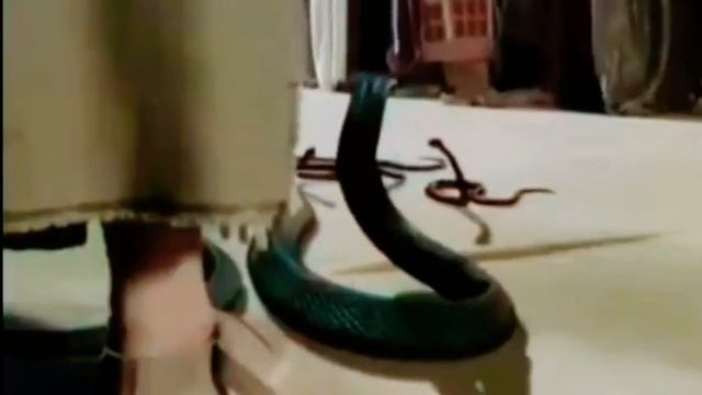 МУСО АЛАЙХИССАЛОМ смотреть онлайн