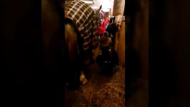 Вызов принят #КоннаяВерсия смотреть онлайн
