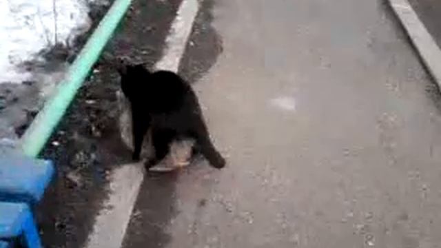 весна опять пришла смотреть онлайн
