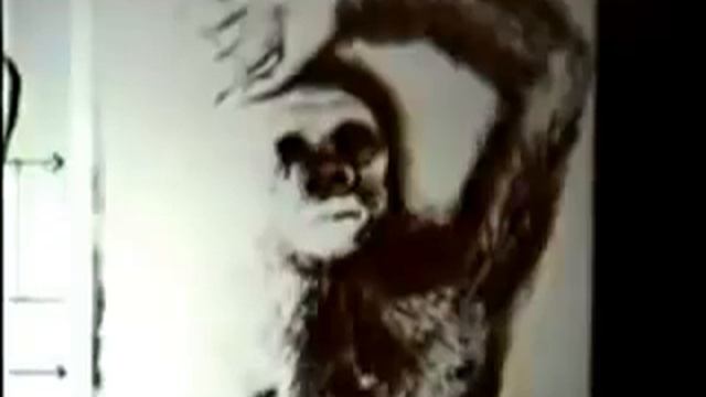 Lloyd Pye - Human Origins, Anunnaki, Evolution смотреть онлайн