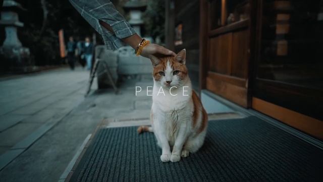 MOMENT | ENOSHIMA JAPAN | BATIS 25mm F2 x SONY a7R III смотреть онлайн