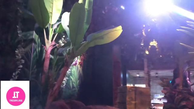 RainForest Cafe| Jungle Theme Resturant | Dubai Festival City | Tresavlogs |23 October 2021 смотреть онлайн