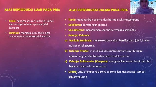 SISTEM REPRODUKSI MANUSIA (ORGAN REPRODUKSI PRIA DAN WANITA) смотреть онлайн