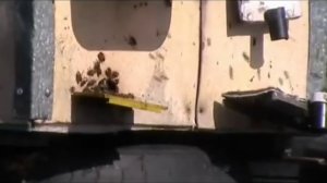 ДВУХМАТОЧНОЕ СОДЕРЖАНИЕ ПЧЁЛ