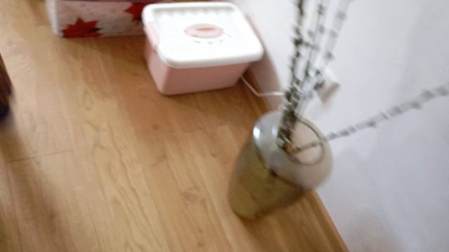 1000012550.mp4 смотреть онлайн