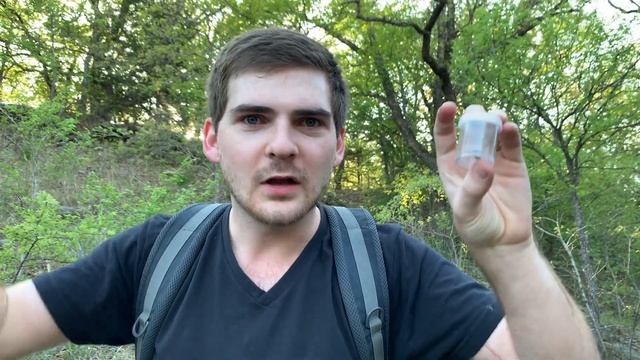 CATCHING a TIGER BEETLE! смотреть онлайн