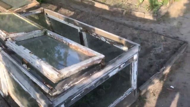 Высадил высокорослые Томаты 🇺🇦 (13.05.23) смотреть онлайн