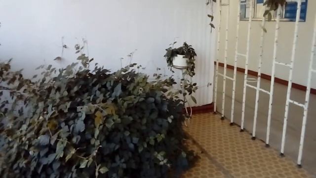 Вот и закончился учебный год, 7 класс настроение отличное ! смотреть онлайн
