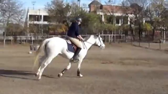 Lola-Ghost of Love смотреть онлайн