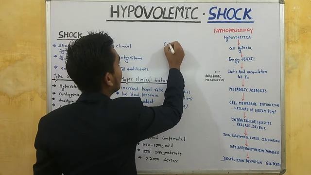 shock /pathophysiology of shock / hypovolemic shock in Hindi /shock causes /shock type смотреть онлайн