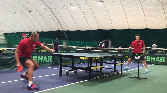 Forehand Topspin Butterfly VISCARIA And Tibhar Evolution EL-P
