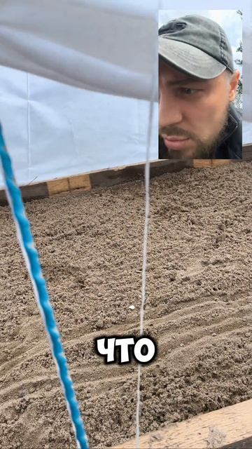 Подготовка второго череночника к черенкование🫡 смотреть онлайн