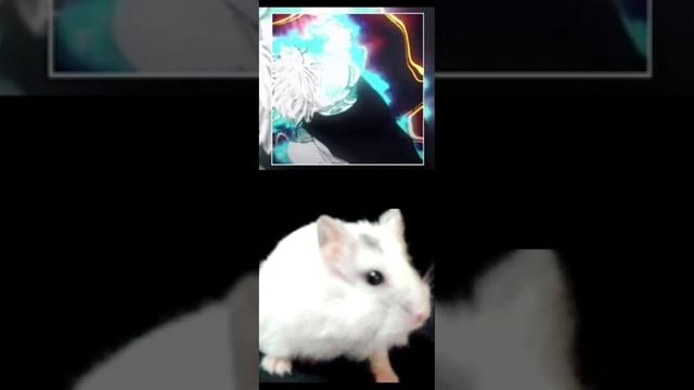 Фонк☠️ (хомяш) смотреть онлайн